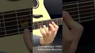 Expensive Guitar sound test