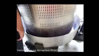 Stainless Steel Multifunctional Grape Vertical Hydraulic Press