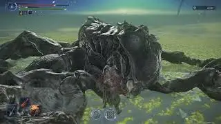 Nightreign Raider Shoryuken Guide full