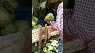 Karnataka coconut cutting Style  🥥 #coconut #karnataka #banglore #food