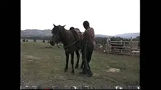 TUVA—Storyteller Shoydak-ool Khovalyg Clip 09