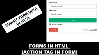 How to submit your form data to backend in HTML | Action tag in form | HTML button tag