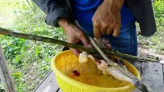 Living the rural life: Simple Life in the Cambodian Countryside  🌾