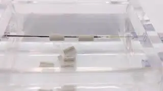 Intravascular Lithotripsy Cracking Calcium Proxy