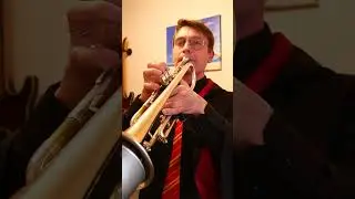 Harry Potter on trumpet (John Williams) #trumpet #ska #brass #magic #trombone #труба #harrypotter