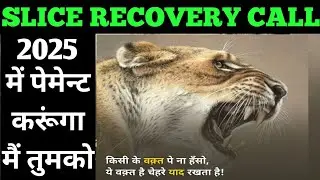मेरे पास 11कार्ड्स थे कभी slice recovery call | recovery agent call