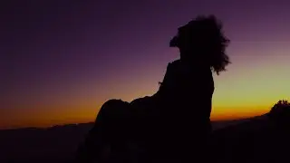 Witness - Haile Supreme (Official Music Video)