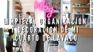 LIMPIEZA,ORGANIZACIÓN Y DECORACIÓN de mi pequeña área de lavanderia- #cuartodelavado #decoracioncasa