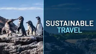 🌿Sustainable Travel Adventures with Metropolitan Touring