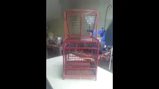 mengapa sangkar pikat kita anti zonk? ini penjelasan  nya !!!