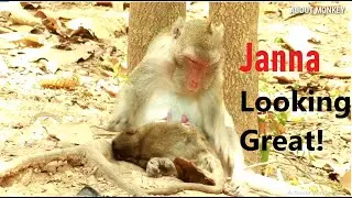 Poor Baby Monkey Janna Getting Well Today, Janna Look Great, Thanks Mum Jane Nursing Well !!