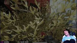 Deadmau5 Forget what Still alive on PUBG