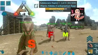 ARK : Survival Evolved Mobile - How to hatch and breed Raptor