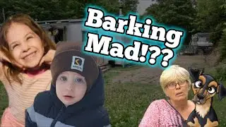Why doesn’t Janie’s dog seem as reactive as she describes him to be? 