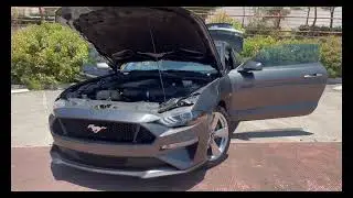 Mustang GT motor 5.0 con 460 HP / Car Visual