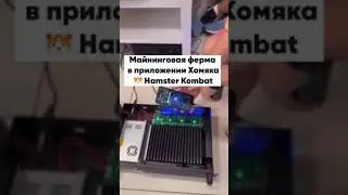 Майнинговая ферма Хамстер Комбат #хамстер #хамстеркомбат #хомяк #майнинг #криптовалюта