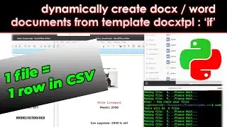 Python : CSV to DOCX | Dynamically make DOCX files from each row of CSV using template with 