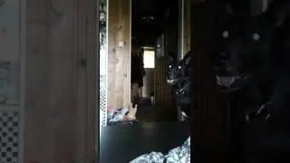 Napsun &auml;&auml;net&ouml;n haukku 