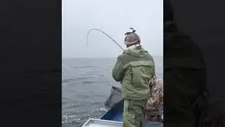 Big wild brown trout - caithness 2019
