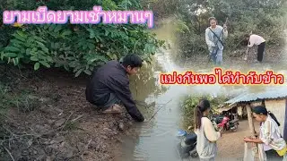 แบ่งปลาให้หมู่บ้านเตาถ่าน พอได้ทํากับข้าวตอนเข้า17 มกราคม ค.ศ. 2026