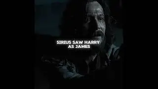 Remus most underrated Character 😭🖤 #harrypotter #edit #sad #snape #sirius #lupin #truth #reality
