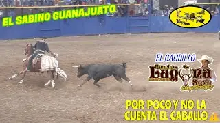 &iexcl;&iexcl;EL GALLITO DE MARCO ROMO SE SALVO DE LOS CUERNOS DEL CAUDILLO!! Reto 2x1 En El Sabino Guanajuato