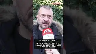 LA FAMIGLIA E' A LETTO, DAL CELLULARE IL PAPA' VEDE I LADRI CHE CERCANO DI ENTRARE | 14/12/2025
