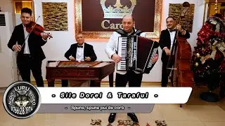 Sile Dorel & Taraful - Spune, spune pui de corb