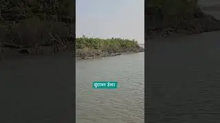 #reel #travel #utubeshort #sundervan #westbengal #delta #nationalpark #bengaltiger #vlogger #vlog
