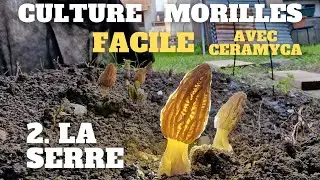 VOS MORILLES 100% MAISON : LA SERRE-FLEX (#EP 02) la méthode facile ➡️  #morilles ➡️ Ceramyca