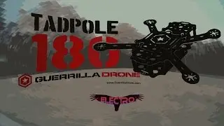 Tadpole 180 Maiden