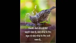 Save birds 🐦 🕊️#youtubeshorts  #short