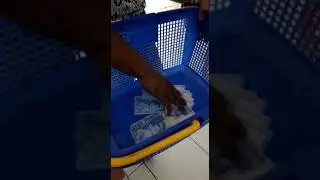 Orang setengah PA
