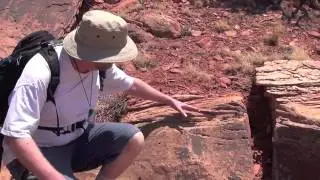 Cross bedding
