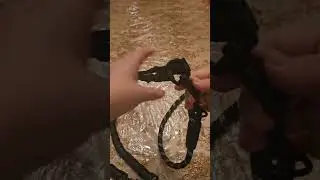 iYoShop Dual Dog Leash #DoubleDogGlowUp#WalkLikeABoss#NoTangleNoDrama#Do