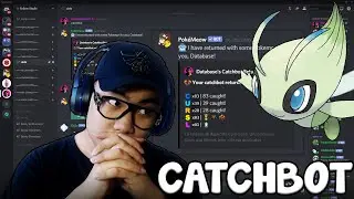 Как использовать Catchbot в PokeMeow (легкие монеты + легкие покемоны)