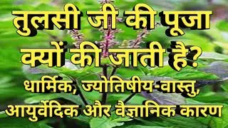 Tulsi Ji Ki Puja Kyon Ki Jati Hai l Tulsi Puja Kyon Ki Jati Hai l Vastu Shastra/Astrology