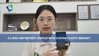 Leadtek's 4.3-Inch Display Solution with Custom Bracket – Tailored for Your Unique Needs!