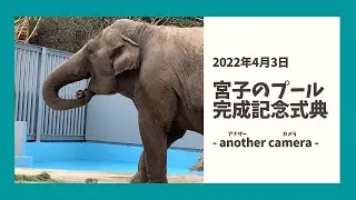 【アジアゾウ】宮子のプール完成記念式典　- another camera -