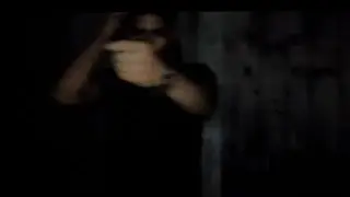 fakemink - McQueens
