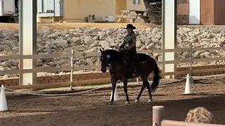 Western Dressage Level 1 Test 1- WDAAZ February 16 2025