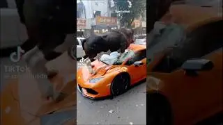 Bull vs bull #lucidcaroftheyear #lamborghini #cars