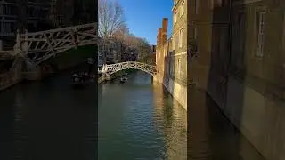 🌞Lovely Day in Cambridge River Cam | Mathematical Bridge #shorts #cambridge #unitedkingdom