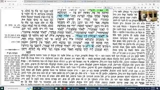 Daf Yomi Made Easy Yevamos Daf 93