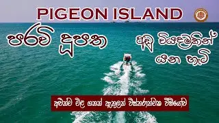ත්&zwj;රීකුණාමලේ පරවි දූපත බලන්න අඩු වියදමකින් යන විදිය🌿🌿PIGEON ISLAND TRAVEL, CHARGES