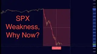 Trading in Turmoil: S&P Crash, Bybit Hack, and BTC Opportunities