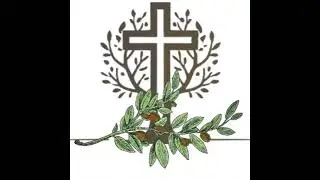 Branches of Faith Community Church  Live Stream