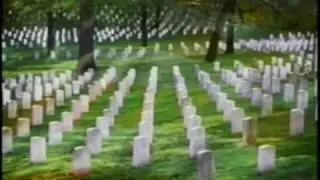 Blades of Grass and Pure White Stones
