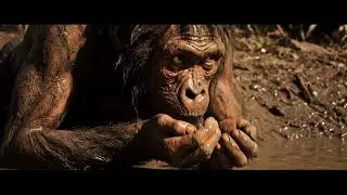Life 2.5 Million Years Ago | Origins of Human Behavior