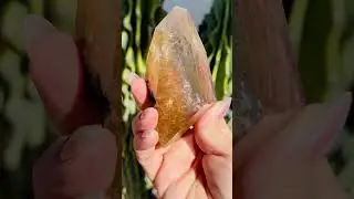 Rare Himalayan Golden Rutile Quartz  | Starseed Astrology